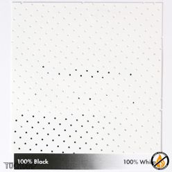 ПРОЕКЦИОННАЯ ПЛЁНКА WHITESTAR STANDARDPERF